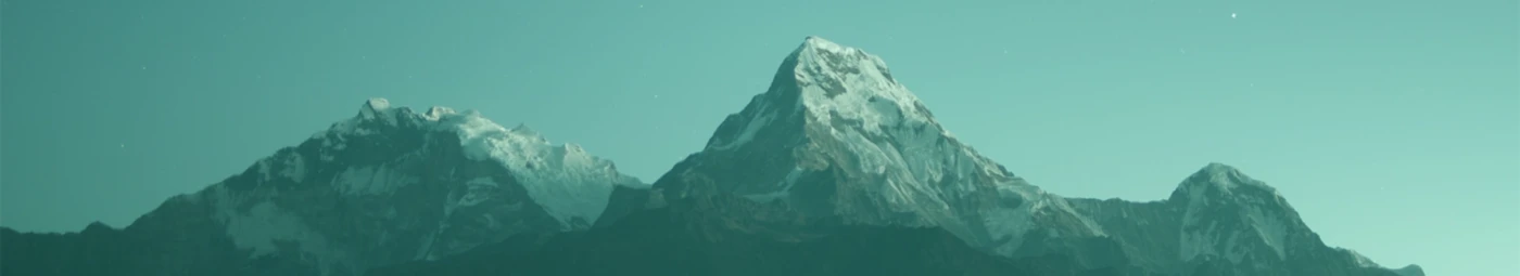 Banner image of shapedstuff