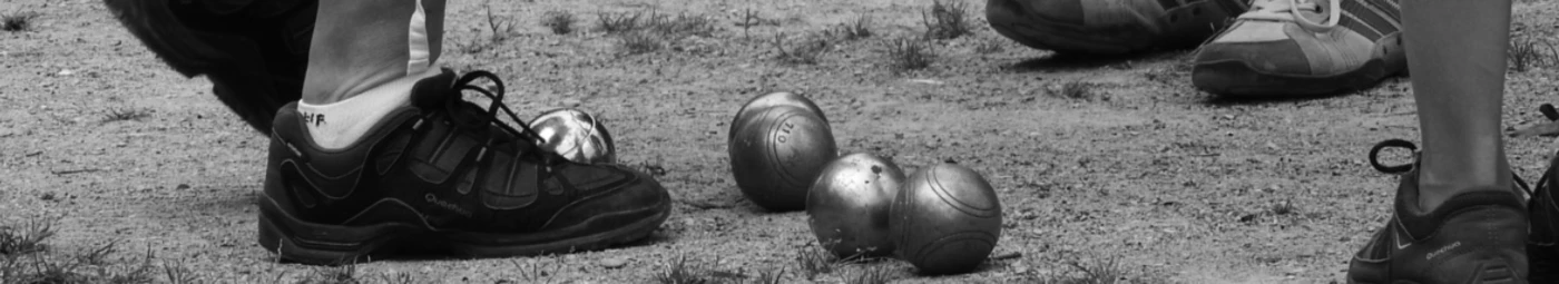 Bannière de Pour La Passion Des Boules