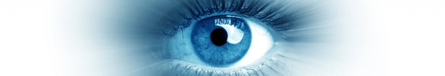 Banner image of The Look