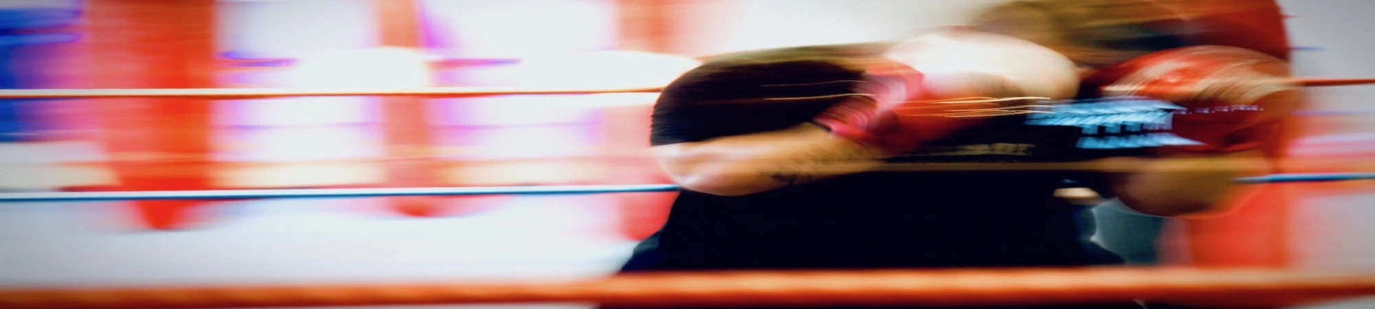 Banner image of Ingmar