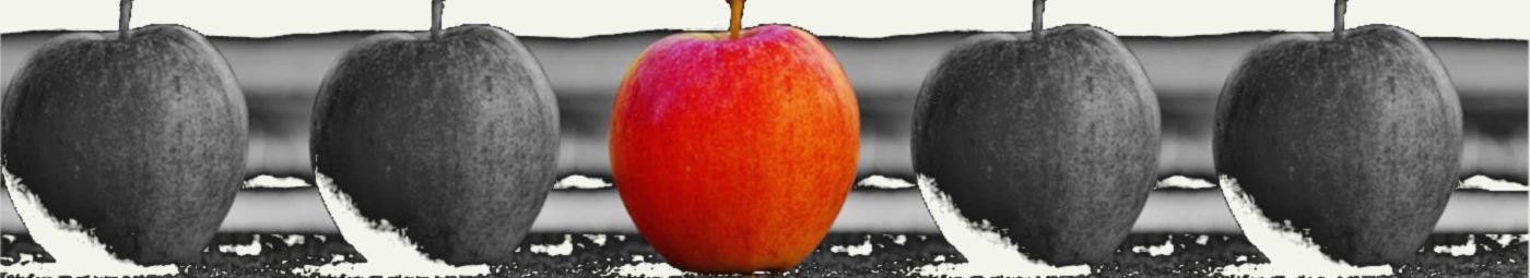 Banner image of 118468292