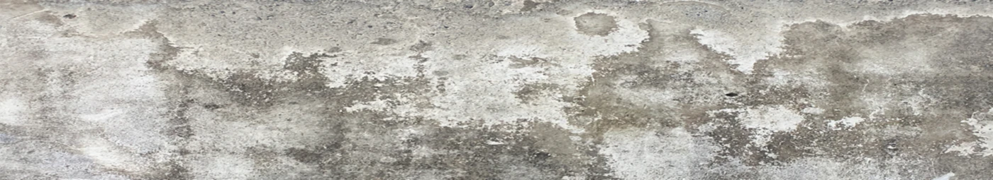 Banner image of Anajrim