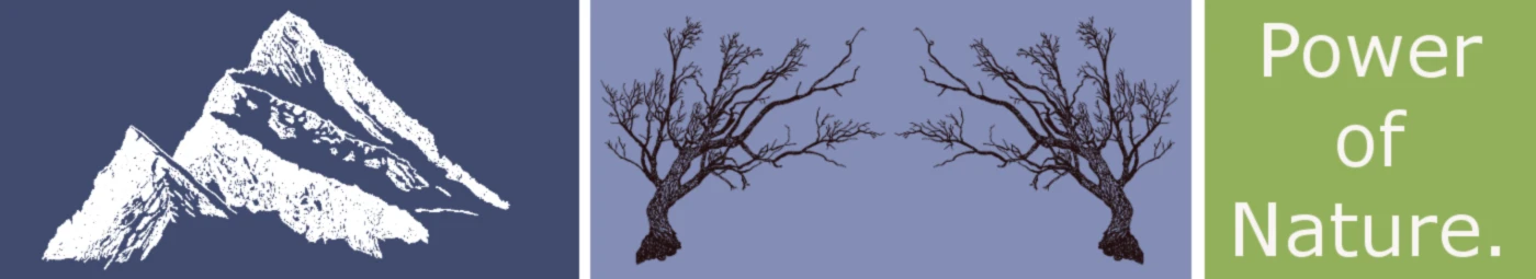 Bannerbild von Fabio