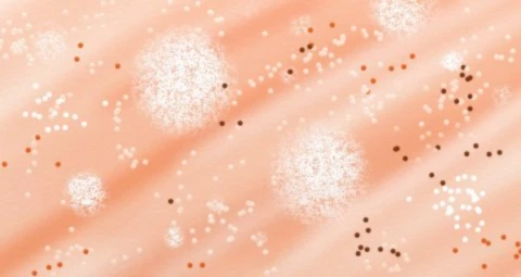 Banner image of peony