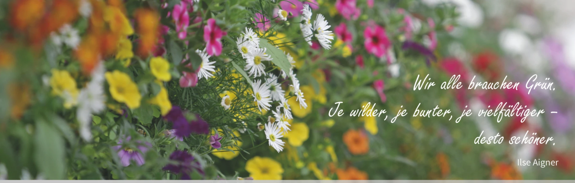 Bannerbild von machdieweltgruener