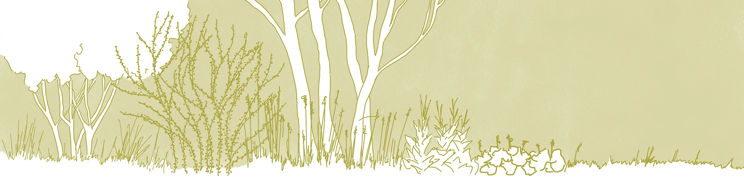 Bannerbild von Natur und Landschaft