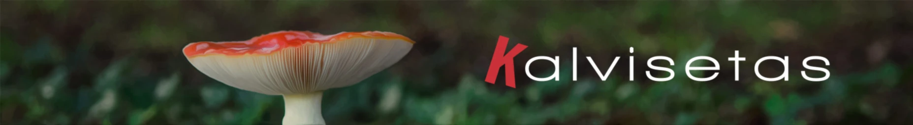 Bannière de Kalvisetas