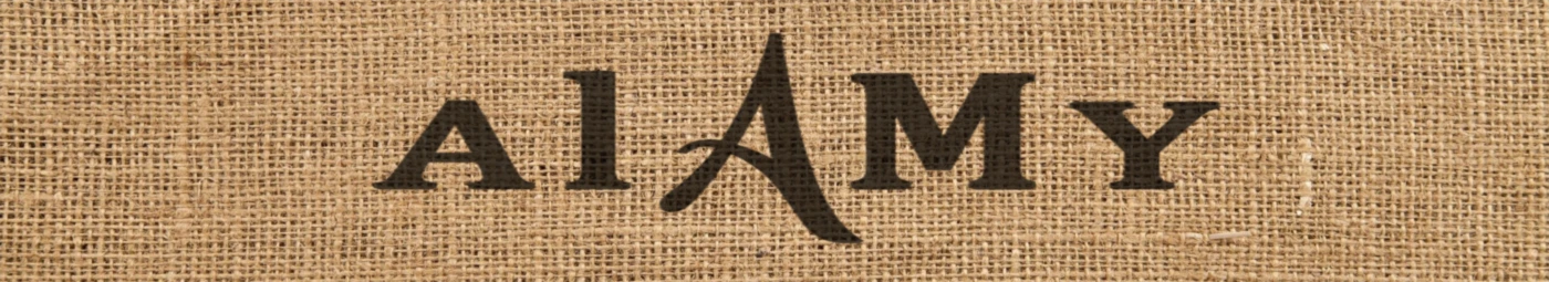 Banner image of A l A M Y