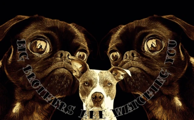 Banner image of Stomp