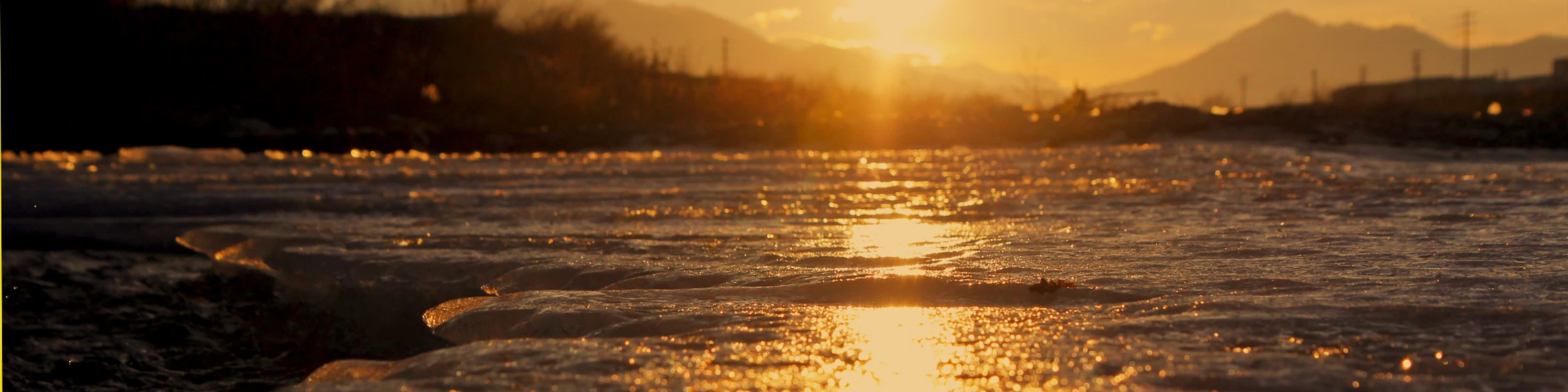 Banner image of lauravonS