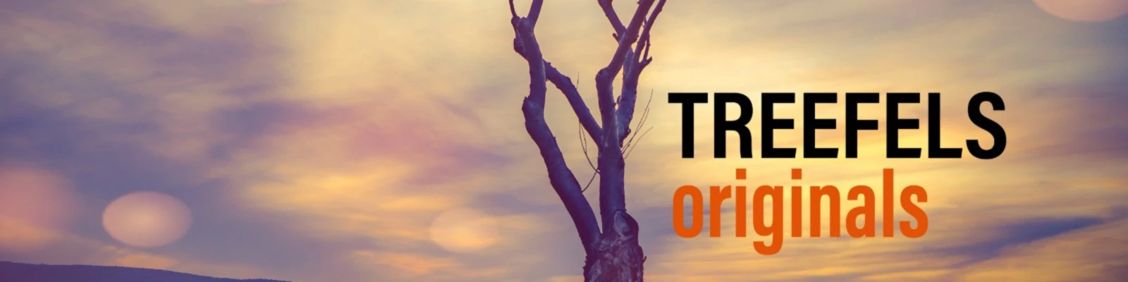 Banner image of Pfalzlust