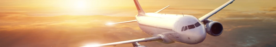 Banner image of Dmg Lionel