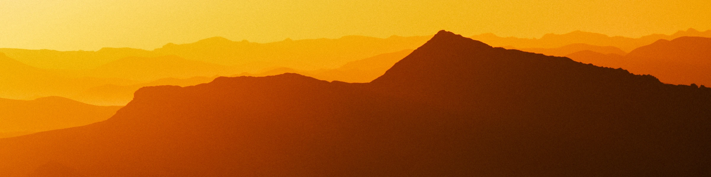 Banner image of Nice Hat Harry