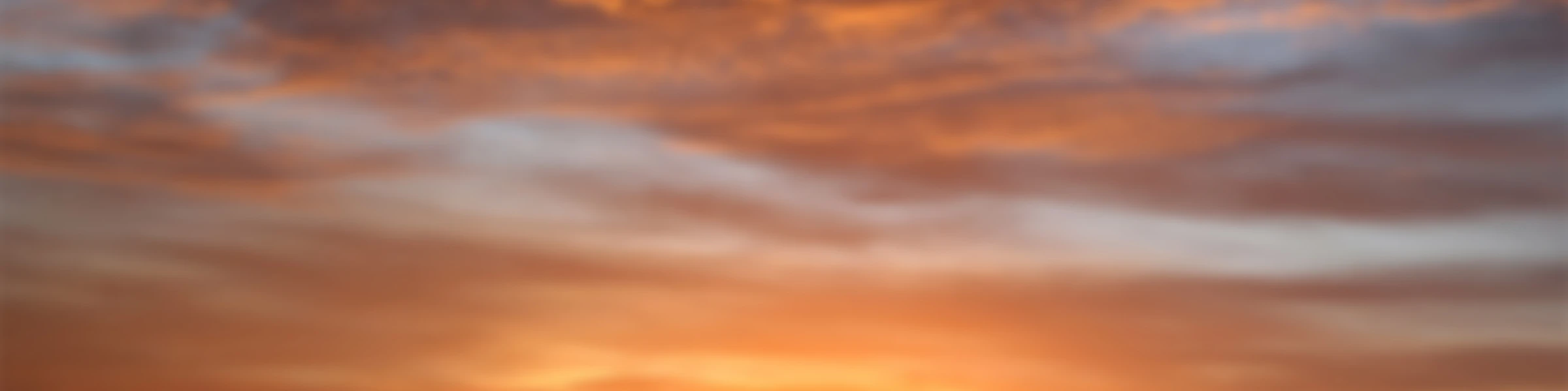 Banner image of Bacabab