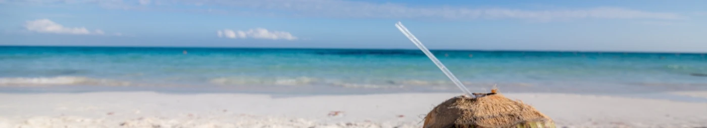 Banner image of Anna