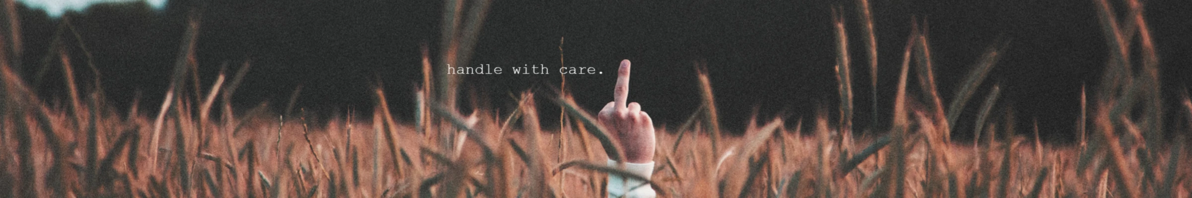 Bannière de arschlochfrauen