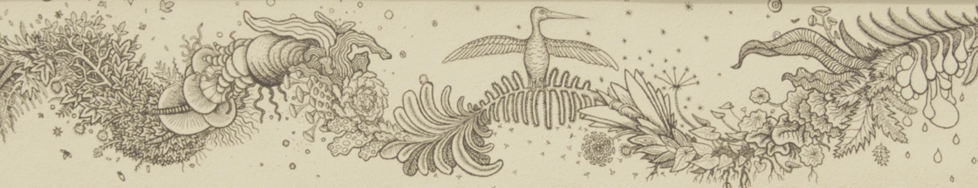 Banner image of Flora Fauna