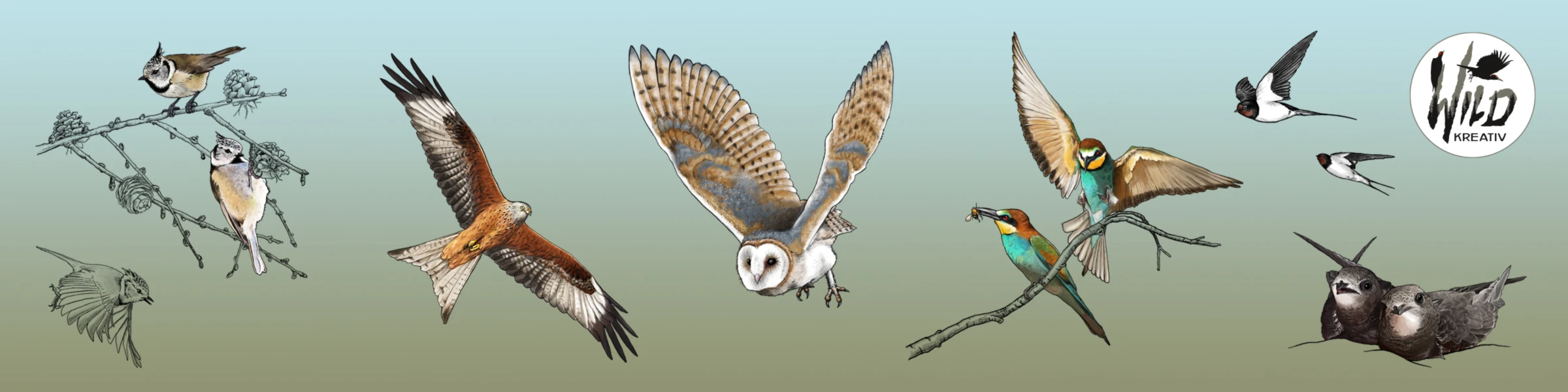 Banner image of wildkreativ