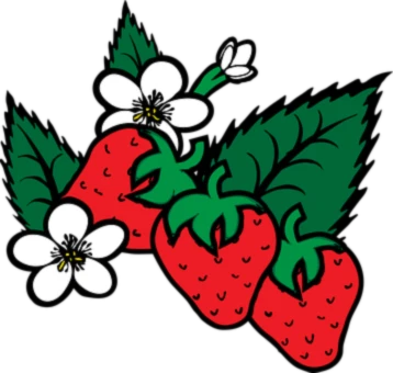 Bannerbild von Ben Weisbach