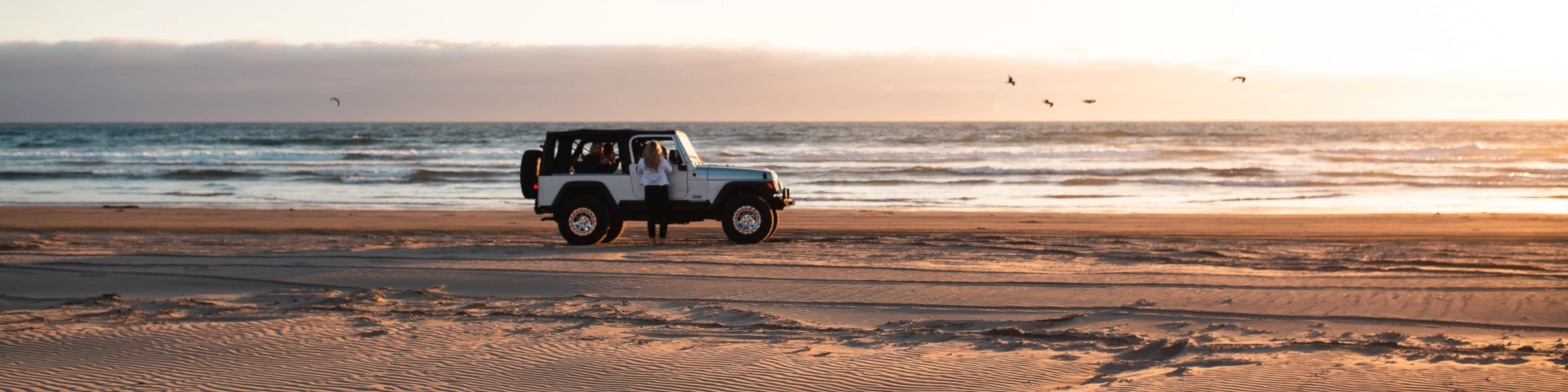 Banner image of CentralDesignz