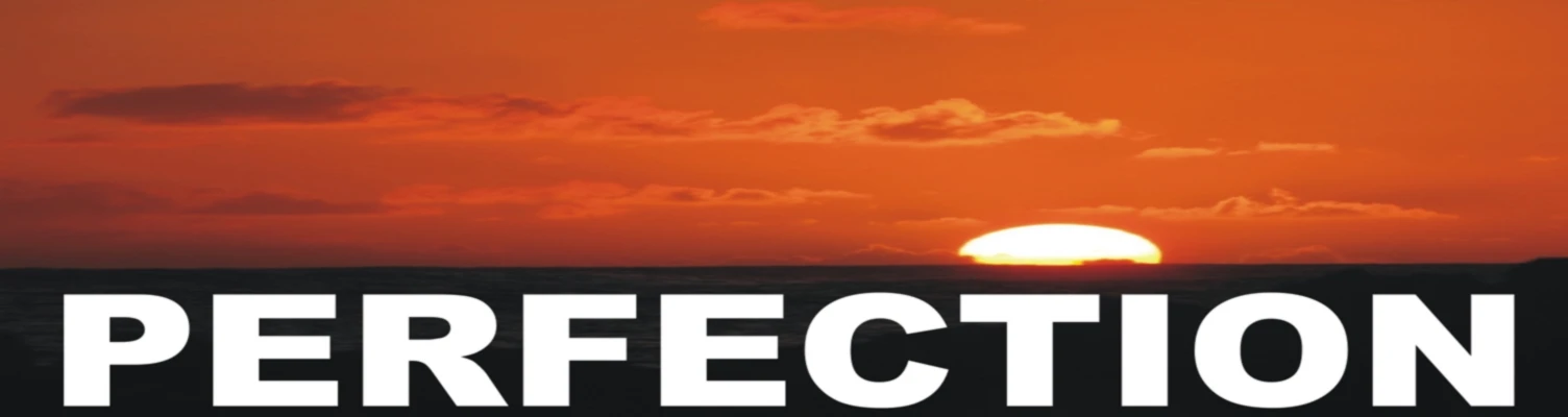 Banner image of Perfection