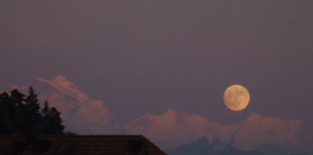 Banner image of 118897007