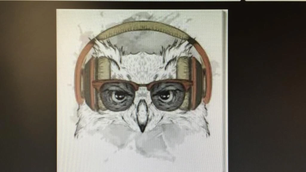 Bannerbild von Lion Music