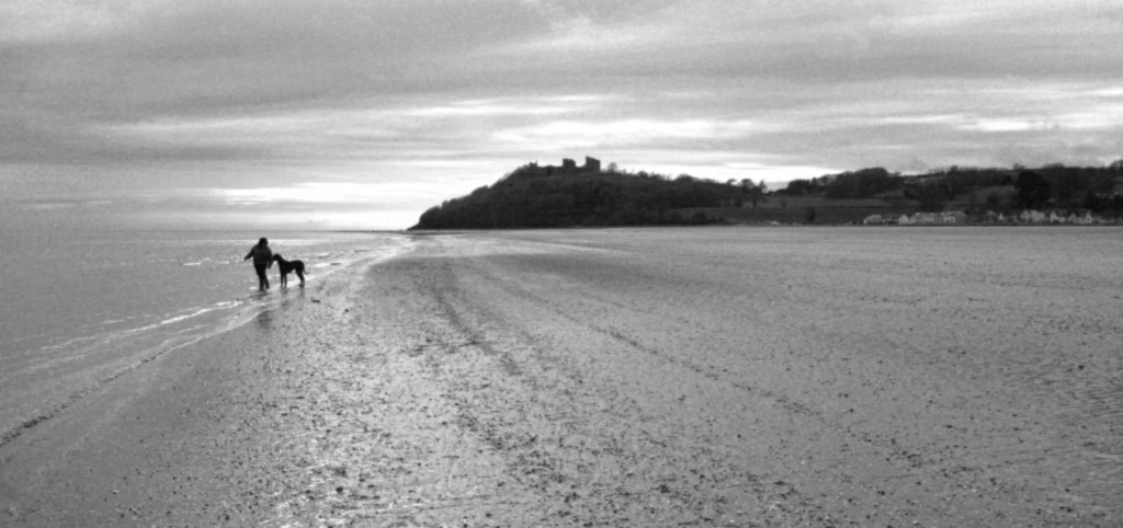 Banner image of Groovy Toga