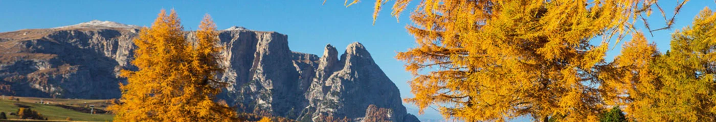 Bannerbild von rubrafoto