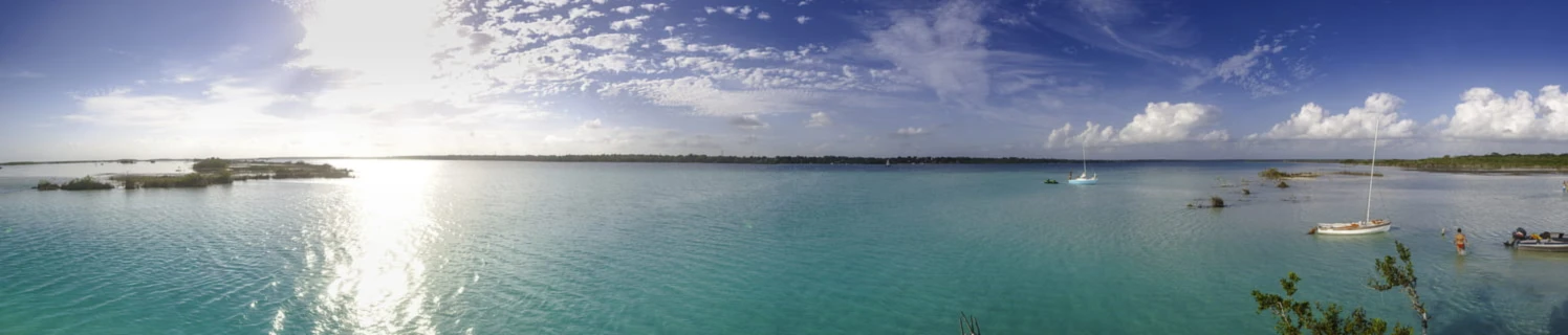 Banner image of El Sendero Del Mago