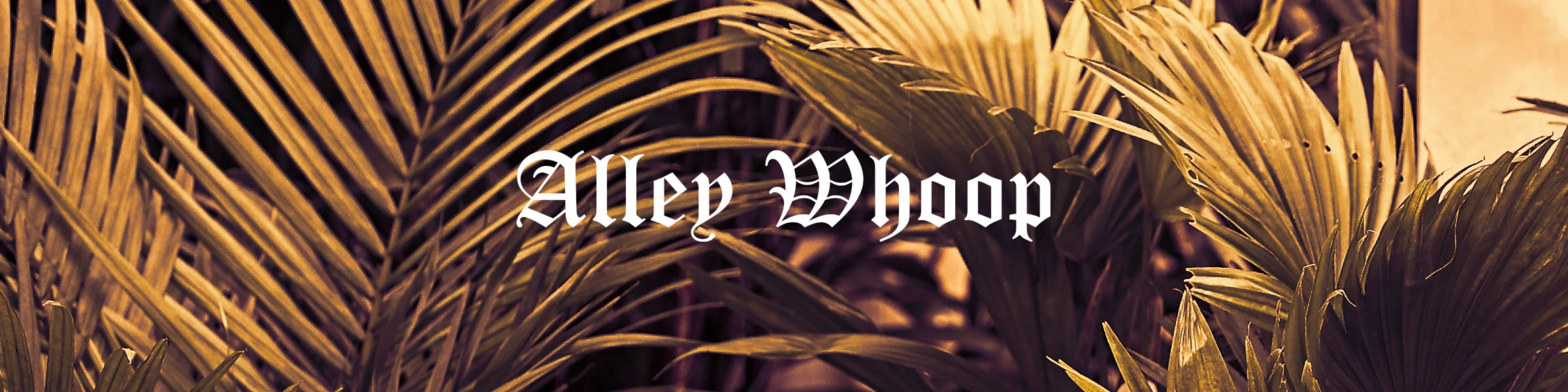 Bannière de Alley Whoop