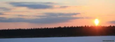 Banner image of Fabios Shop