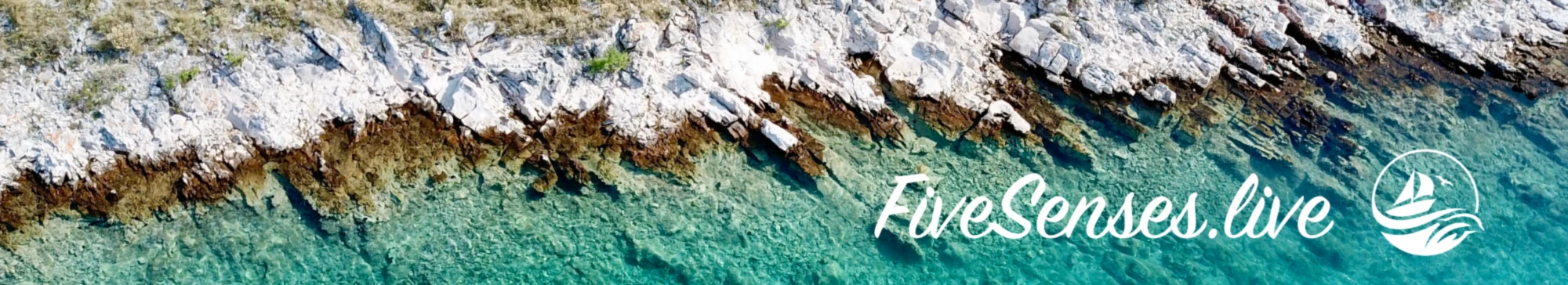 Banner image of Five Senses Shop