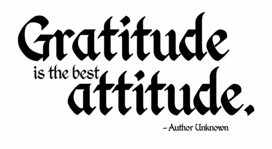 Bannière de Nani182