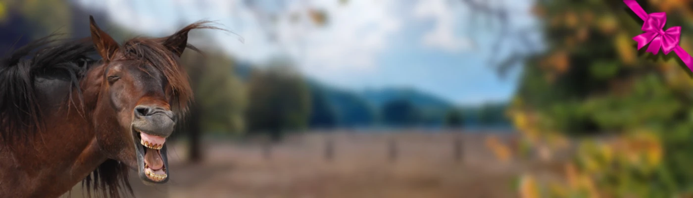 Banner image of Kids Birthday Party