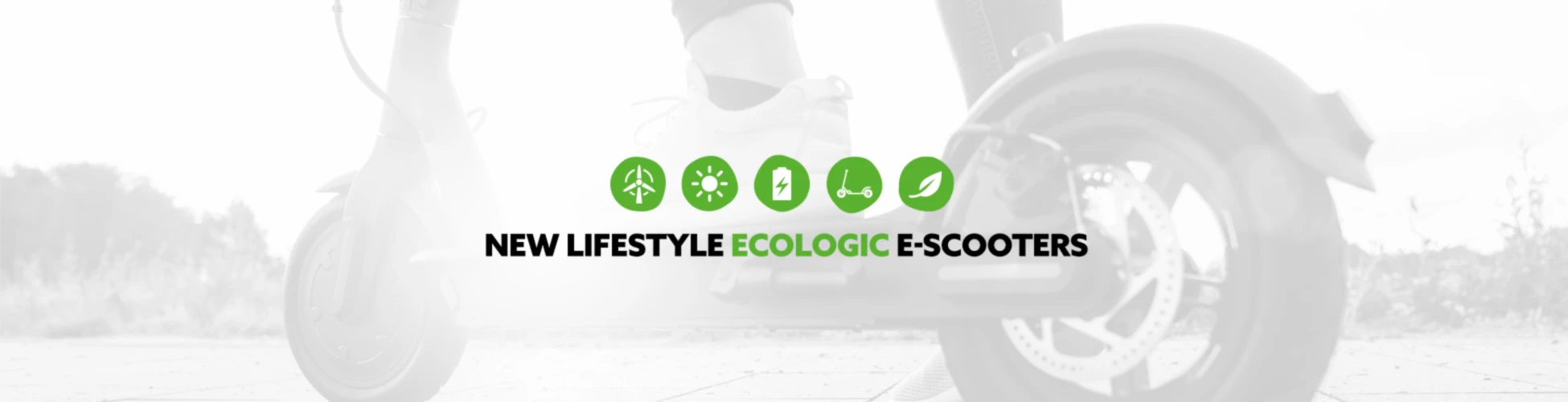 Banner image of 119064593