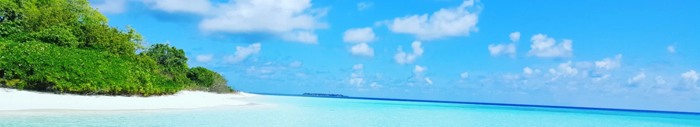 Banner image of KALYMATY