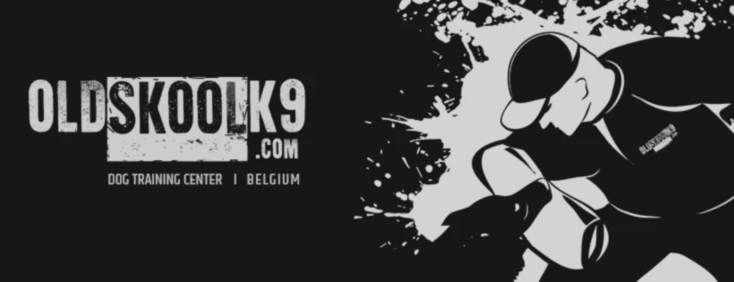Banner image of 119130601