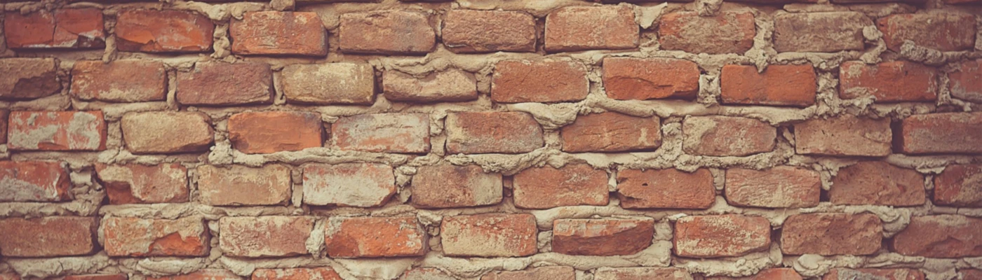 Banner image of BrinXaPrints