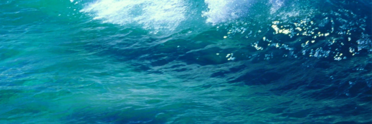 Banner image of Eko1685