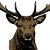 CapitalDeer