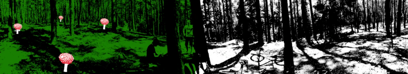 Banner image of CapitalDeer