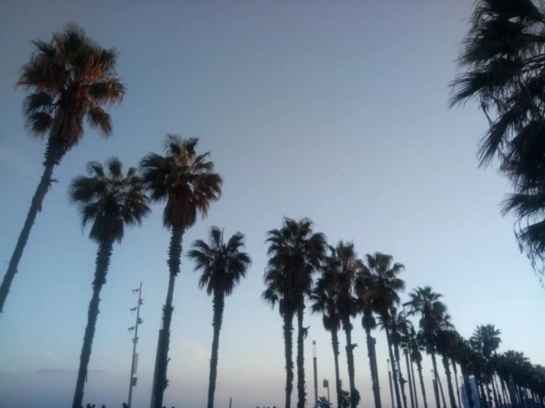 Banner image of Lire et rire