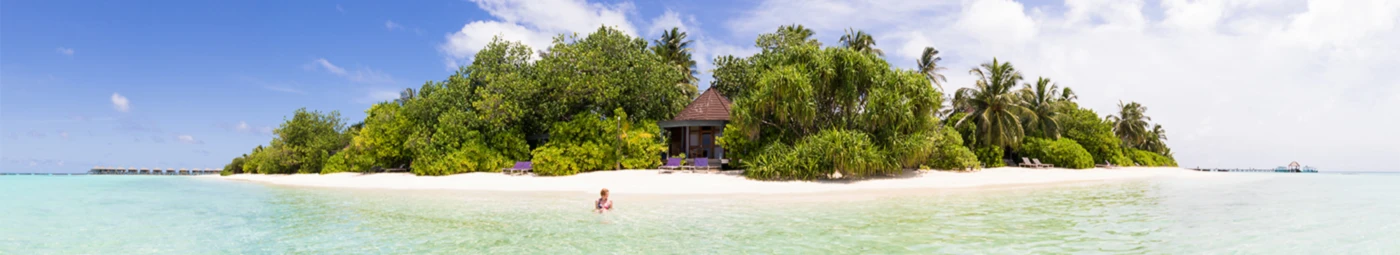 Bannerbild von alexmiza