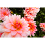 JM_Design