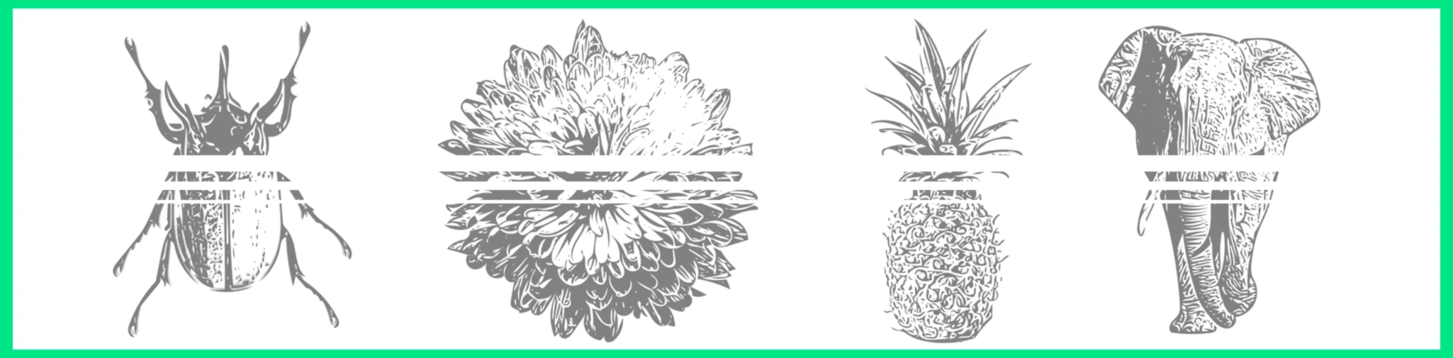 Bannière de natureTees