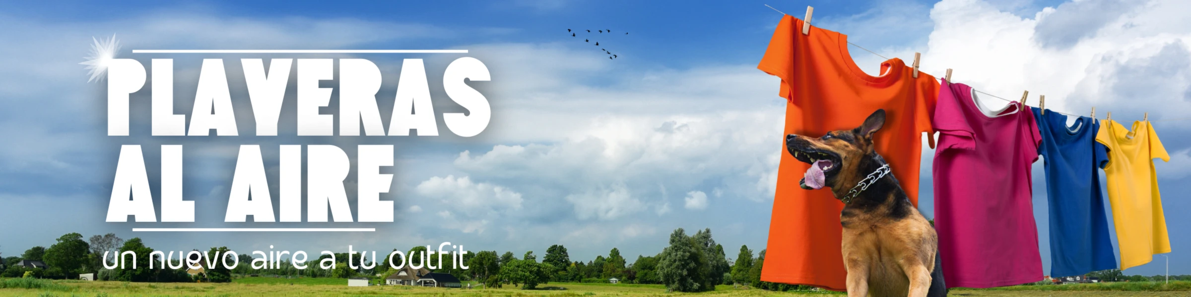 Banner image of T shirt Aire