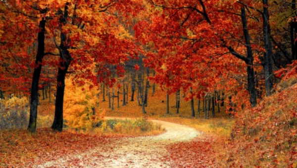 Bannerbild von Laura Farkas