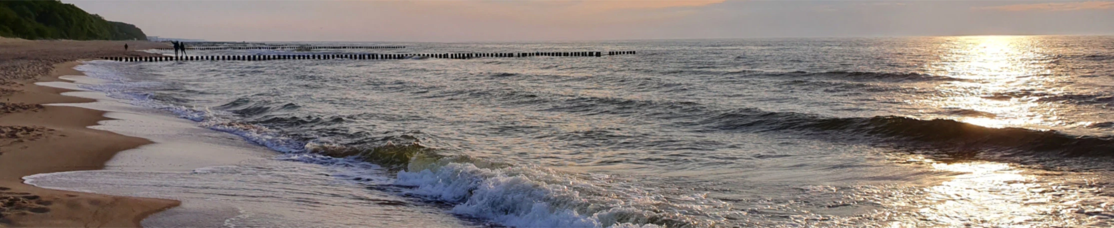 Bannerbild von ekniLBerlin