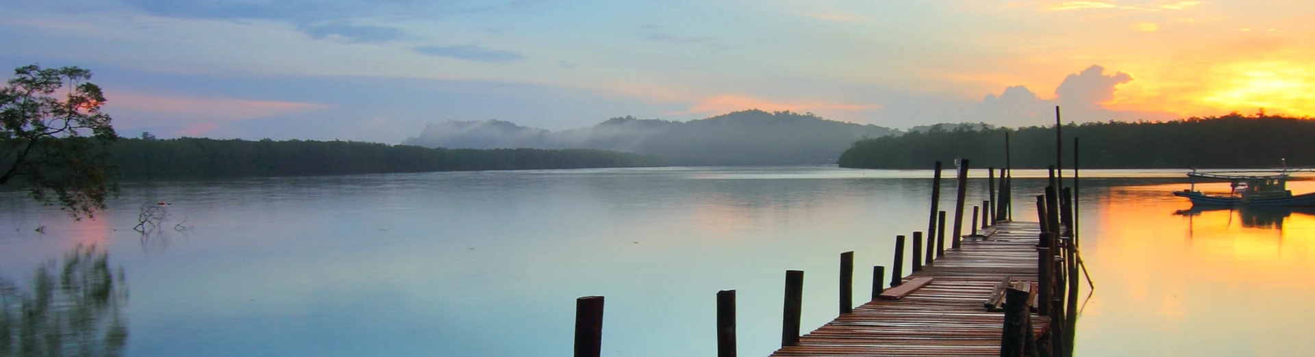 Banner image of 119291795